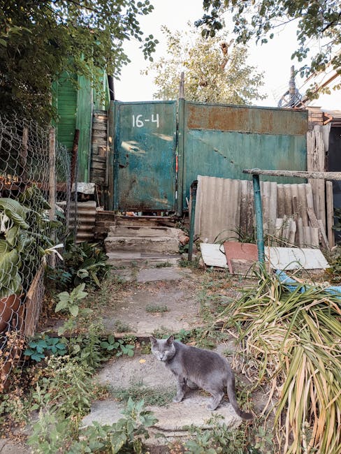 Balanced meal prep including lean proteins and leafy greens