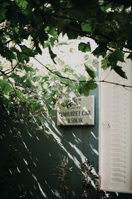 Professional trainer demonstrating technical lifting form